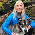 Laurel Hines - @laurelhines - Instagram