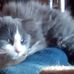 Laurel Huffman - Facebook