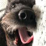 Laurel Humphrey Mast - @laurelmast - Instagram
