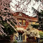 @laurelhurst_art - Instagram