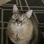Laurel Jacobson - @laureljac3 - Instagram