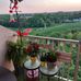 Laurel Johnston - Facebook