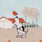 Laurel Johnston - @laureljohnston355 - Instagram