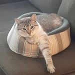 Laurel Johnston - @laurjohnst - Instagram