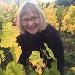 Laurel Kaufman - @palkauf - Instagram