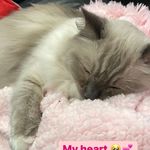 Laurel - @laurelkeith2021 - Instagram