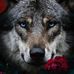 Laural Kerr - Facebook