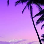 Laurel Key - Facebook