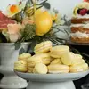 Laurel King - @thebakedbloomsco - TikTok