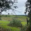 Laurel Land Farms - @laurellandfarms - TikTok