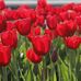 Laurel Lilly - Facebook