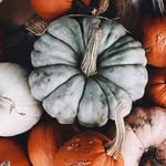 Laurel Lind - @laurel_lind_lavender - Instagram