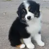 laurelmathews8 - @laurel.derousse - TikTok