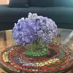 Laurel Mayer - @laurylmayer - Instagram
