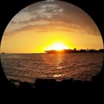 Laurel McCarthy - @mccarthylaurel - Instagram