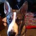 Laurel Morse - Facebook