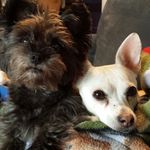 Laurel Nowak - @nowak.laurel - Instagram