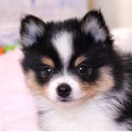 Brendan Matsuda - @laurelparkhousekeeping - Instagram
