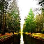 Laurel Peters - @laurelpeters81 - Instagram