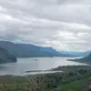 laurelpeterson220 - @laurelpeterson220 - TikTok