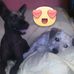 Laurel Ramos - Facebook