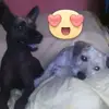 laurelramos726 - @laurelramos726 - TikTok
