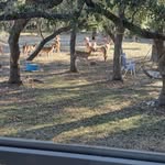 Laurel Schmidt - @rlschmidt1955 - Instagram