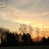 laurel schultz - @caitling.d - TikTok
