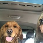 Laurel Stanley - @lalasdoggirl - Instagram