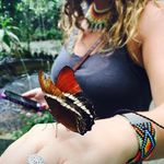Laurel Stark - @squallflower - Instagram