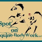 Spot On Equine Bodywork LLC - @statzlaurel - Instagram