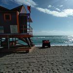 Laurel Stephens - @laurelstephens6 - Instagram