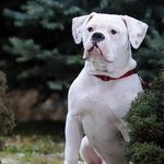 laurel stephens - @laurelstephens1 - Instagram