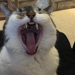 Laurel Waller - @laureljw42 - Instagram