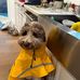 Laurel Wilson - Facebook