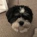 Laurel Wilson - Facebook