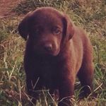 Laurel Wilson - @laurel_wilson2007 - Instagram