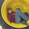 Laurel Wilson - @slipknot.yeah - TikTok