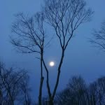 Wolf Laurel Community - @wolflaurelcommunity - Instagram