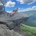 Lauren Elizabeth Amos - Facebook