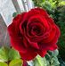 Lauren Aviles - Facebook