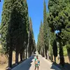 laurenbridgeaxe - @laurenbridgeaxe - TikTok