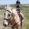 Lauren Barding - @lauren.barding - TikTok