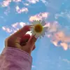 Lauren Barendse ♥ - @lauren.barendse - TikTok