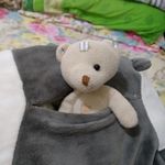 Teddygirl@official - @laurenbasilio268 - Instagram
