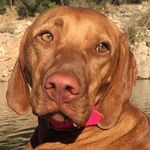 Lauren Baughman - @laubau74 - Instagram