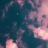Lauren Behm - @user107325782 - TikTok