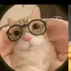 Lanie 888 - @lau.lauren.blom - TikTok