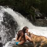 Lauren Blom - @dog.hair.dont.care - Instagram