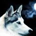 Laurent Bobo - Facebook